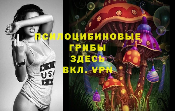 МДПВ Аркадак