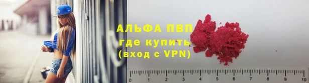 гашик Новоузенск