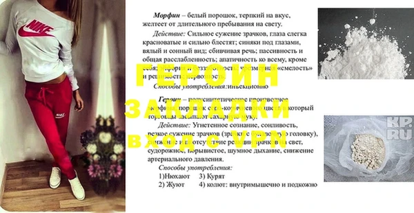 прущие грибы Сафоново