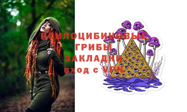 прущие грибы Арсеньев