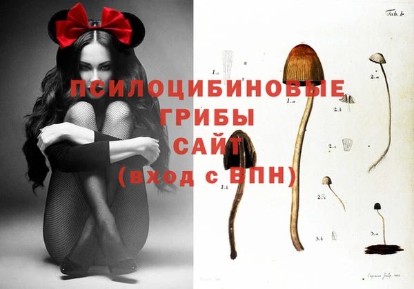 прущие грибы Арсеньев